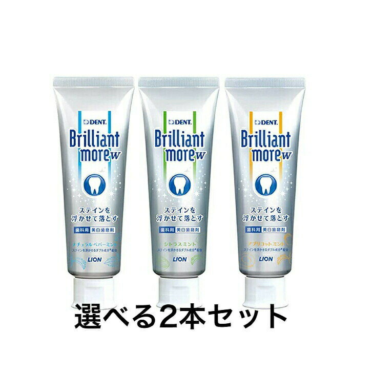 【選べる2本セット】ライオン歯科材 ブリリアントモアダブル 歯科用 美白歯磨剤 90g 定形外郵便・送料無料 ナチュラルペパーミント・アプリコットミント・シトラスミント ホワイトニング