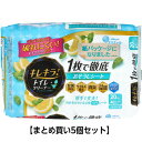 【ポイント10倍キャンペーン当店バナーよりエントリー必須】【まとめ買い5個セット】エリエール キレキラ!トイレクリーナー 1枚で徹底おそうじシート シトラスミン...