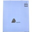 【ポイント10倍キャンペーン当店バナーよりエントリー必須】【選べるカラー】Angelite(アンジェライト) 機能性インナーショーツ レースタイプ Mサイズ 1...