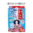 【P5倍更に1/2でポイントバック詳しくは当店バナーより】【選べる1・3・5個セット】人形用調湿剤 わらべ 5包入
