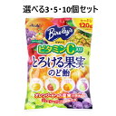 【ポイント10倍キャンペーン当店バナーよりエントリー必須】【選べる3・5・10個セット】バヤリース とろける果実 のど飴 120g入 ビタミンC入り キャンディー 飴