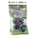 【ポイント10倍キャンペーン当店バナーよりエントリー必須】【選べる3・5・10個セット】古代ペルシャの宝物 乾燥デーツ ピアロム種 (種あり) 110g ドライフルーツ 美味しい保存食 料理にも