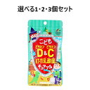 【ポイント10倍キャンペーン当店バナーよりエントリー必須】【選べる1・2・3個セット】こどもビタミンD&ビタミンC KT-11乳酸菌チュアブル ぶどう風味 30...