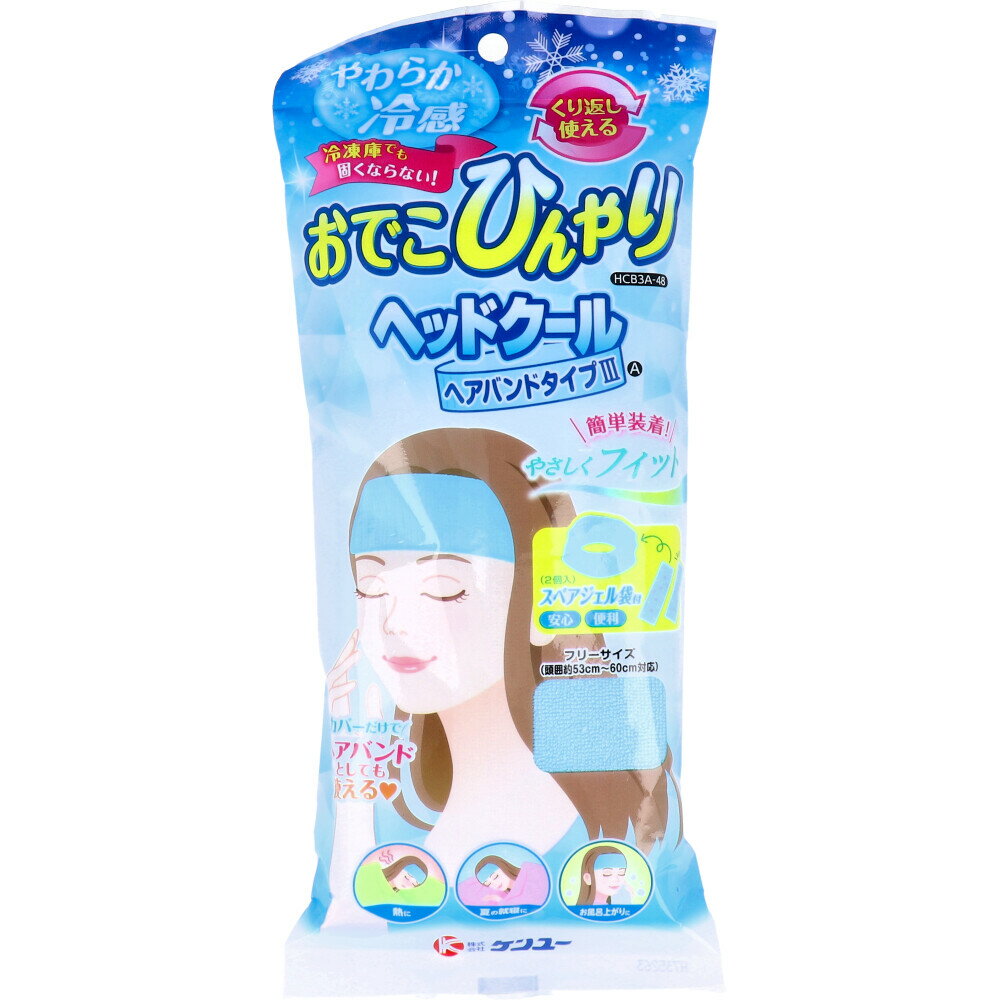 【ポイント10倍キャンペーン当店バナーよりエントリー必須】ヘッドクール ヘアバンドタイプ3 A HCB3A-48