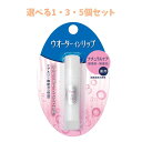【選べる1・3・5個セット】ウオーターインリップ 薬用スティックNF n ナチュラルケア 無香料 無着色 3.5g 保湿リップ 唇の荒れに 乾燥対策
