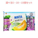 【ポイント10倍キャンペーン当店バナーよりエントリー必須】【選べる5・10・15個セット】ミンティア 富良野メロン 50粒入 フルーツタブレット アサヒ 清涼菓...