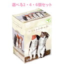 【ポイント10倍キャンペーン当店バナーよりエントリー必須】【選べる2・4・6個セット】フィギュア いっしょにねんね にゃんこ 1個入 かわいいミニチュア 癒し ...