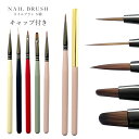 【ポイント10倍キャンペーン当店バナーよりエントリー必須】【選べる5種類】耐熱性や耐薬品性に優れた毛質 ネイルブラシ5種 キャップ付き ジェルの塗布や繊細なアートの制作に ジェルネイル ネイルグッズ