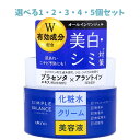 【ポイント10倍キャンペーン当店バナーよりエントリー必須】【選べる1・2・3・4・5個セット】シンプルバランス 美白ジェル 100g ジェル状保湿液 透明感のある素肌 肌あれ・ニキビ予防(4)