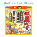 【ポイント10倍キャンペーン当店バナーよりエントリー必須】【選べる1・2・3・4・5個セット】薬用入浴剤 温泉郷めぐり 30g×15包入 あったまる入浴剤 疲れ癒し だるい疲れに