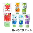 【ポイント10倍キャンペーン当店バナーよりエントリー必須】【選べる3本セット】オーラルケア◆ ホームジェル65g◆ (う蝕予防ジェル) (ノンフレーバー・グレープ・ストロベリー・ミント・オレンジ・ラムネ・) 送料無料 歯磨き粉 キッズ