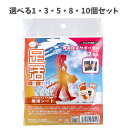 【ポイント10倍キャンペーン当店バナーよりエントリー必須】【選べる1・3・5・8・10個セット】hokotto 足活 樹液シート 専用固定サポーター 2枚入 1足分 しっかリと固定(4)