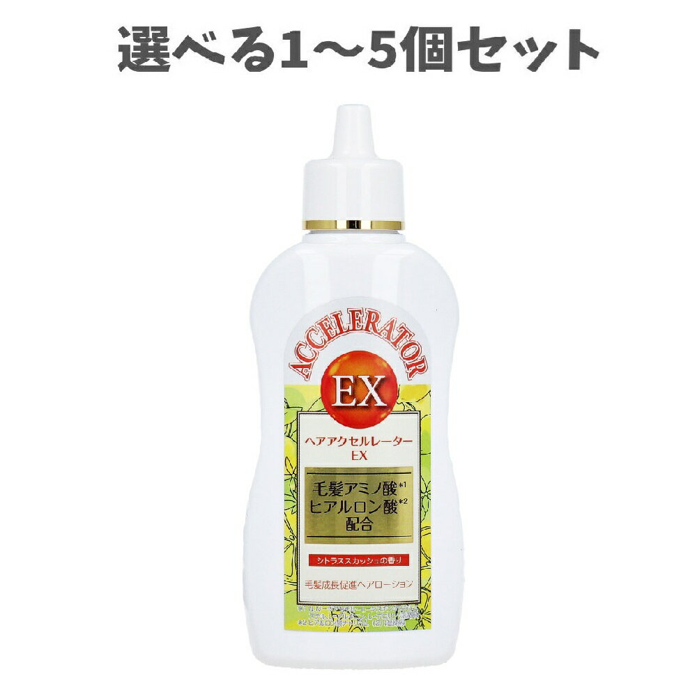 【ポイント10倍キャンペーン当店バナーよりエントリー必須】【選べる1～5個セット】ヘアアクセルレータ..