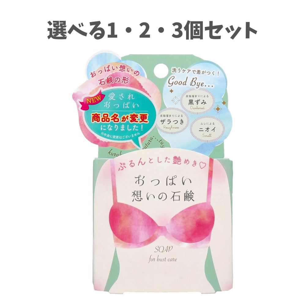 【ポイント10倍キャンペーン当店バナーよりエントリー必須】【選べる1・2・3個セット】おっぱい想いの..