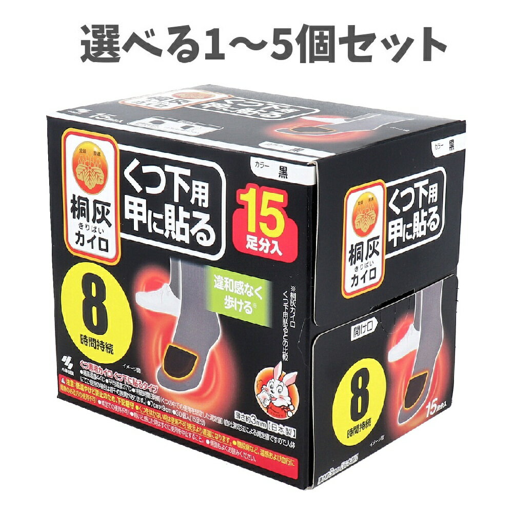 【ポイント10倍キャンペーン当店バナーよりエントリー必須】【選べる1～5個セット】桐灰カイロ くつ下..