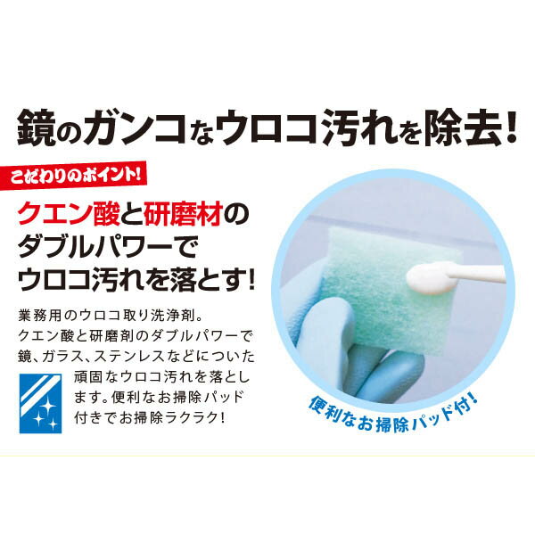 アイメディア AIMEDIA 業務用スカッとウロコ取りクリーナー 1007913 鏡 浴室 ウロ...