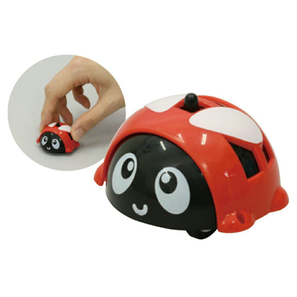 112524Hȥ꡼P10ܡۥƥå 뤰å #6817  