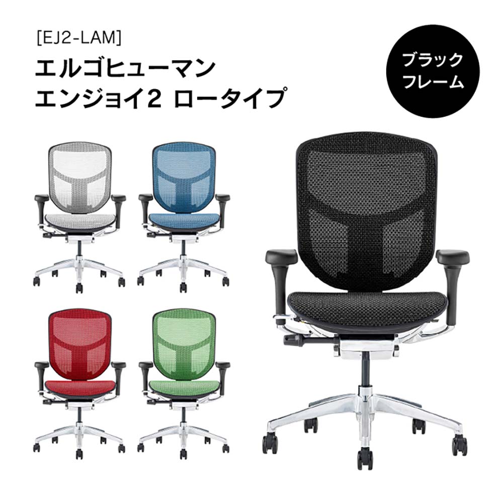 【6月20日-30日までエントリー&2店舗合計5,000円以上で最大10万ポイント】関家具 エルゴヒューマン エンジョイ2 ロータイプ グレーフレーム EJ2-LAM-GF-RD レッド [2]