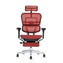 関家具 エルゴヒューマン プロ2 オットマン ブラックフレーム EHP2-LPL-DR-BF-RD レッド