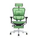 関家具 エルゴヒューマン プロ2 オットマン ブラックフレーム EHP2-LPL-DR-BF-GN グリーン