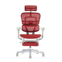 関家具 エルゴヒューマン プロ2 オットマン グレーフレーム EHP2-LPL-DR-GF-RD レッド