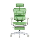 関家具 エルゴヒューマン プロ2 オットマン グレーフレーム EHP2-LPL-DR-GF-GN グリーン