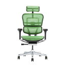 関家具 エルゴヒューマン プロ2 ハイタイプ ブラックフレーム EHP2-HAM-DR-BF-GN グリーン