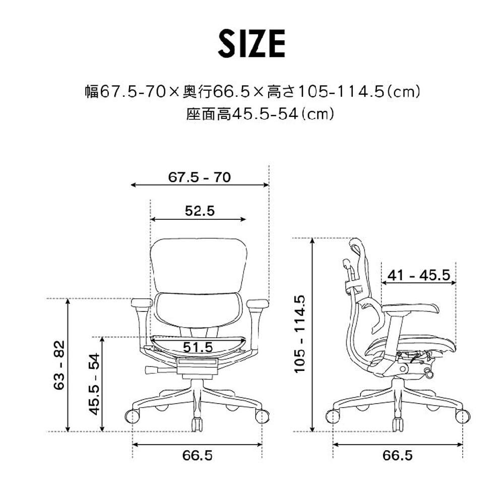 【4月4日20時-10日1時59分までエントリーで2点購入P5倍・3点以上でP10倍】関家具 エルゴヒューマン プロ2 ロータイプ グレーフレーム EHP2-LAM-DR-GF-BL ブルー [3]