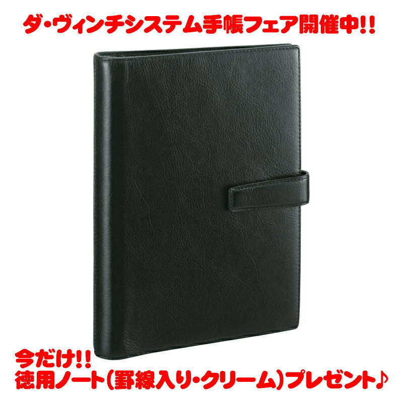 ダ・ヴィンチ 手帳 【ラッピング無料】【名入れ可(有償)】 レイメイ藤井 Raymay ダ・ヴィンチ ダヴィンチ ブラック A5 システム手帳 リング20mm ビジネス スタンダード スーパーロイスレザー ダブルホックタイプ DSA3002B