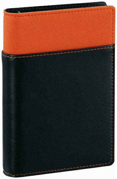 【最大2,000円オフCOUPON 12月1日-6日9時59分まで】レイメイ藤井Davinci(ダ・ヴィンチ)システム手帳用 リフィルファイル WPF801D ...