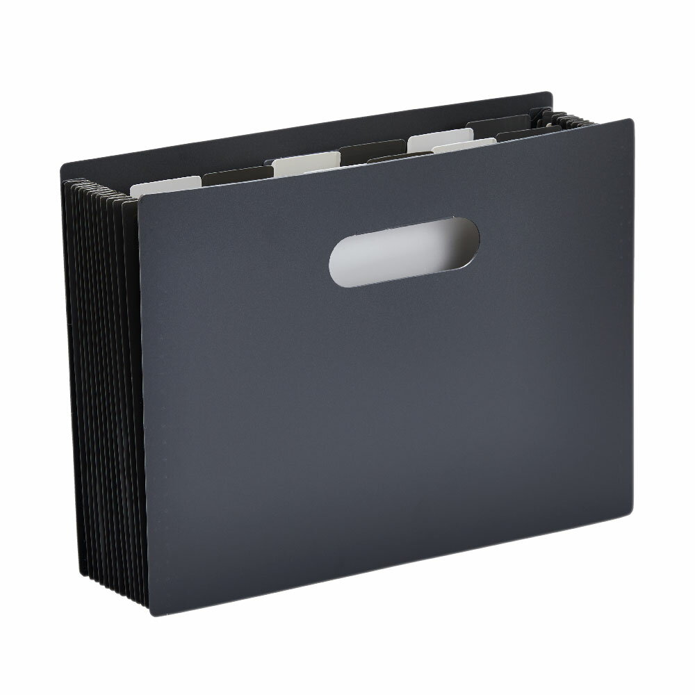 【11月25日24H限定★エントリーで全商品P10倍！】キングジム　KINGJIM サクッと整理 ドキュメントファイ..