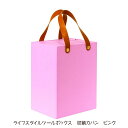 【最大2,000円オフCOUPON 6月1日-6日9時59分まで】<ナカバヤシ>ライフスタイルツールボックス 収納カバン ピンク LST-SK01P(3)