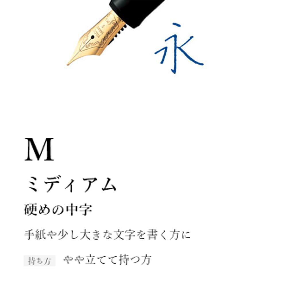 【7月19日20時-26日1時59分までエントリーで全商品ポイント10倍】パイロット PILOT 万年筆 キャップレス SE マーブルオレンジ 中字 ギフトケース付き FCSE-3MR-MAO-M Capless officeland-10465403 オフィスランド サンプル画像2