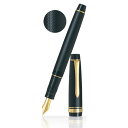 パイロット PILOT 万年筆 ジャスタス95 ネットブラック 中細字 FJ-3MR-NB-FM Justus