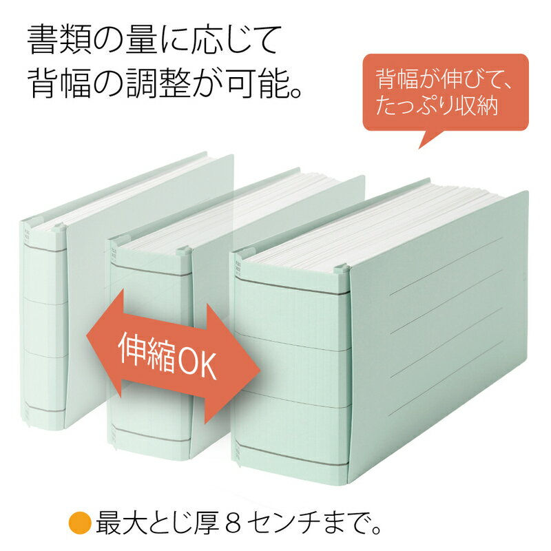 【4月4日20時-10日1時59分までエントリーで2点購入P5倍・3点以上でP10倍】プラス(PLUS)背幅伸縮フラットファイル セノバス エコノミー 樹脂とじ具 伝票 ブルー FL-062SE　88-315
