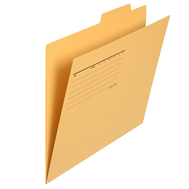 【11/20(木)24h限定★抽選で2人に1人が最大全額ポイントバック★要エントリー】プラス(PLUS)個別フォルダ..