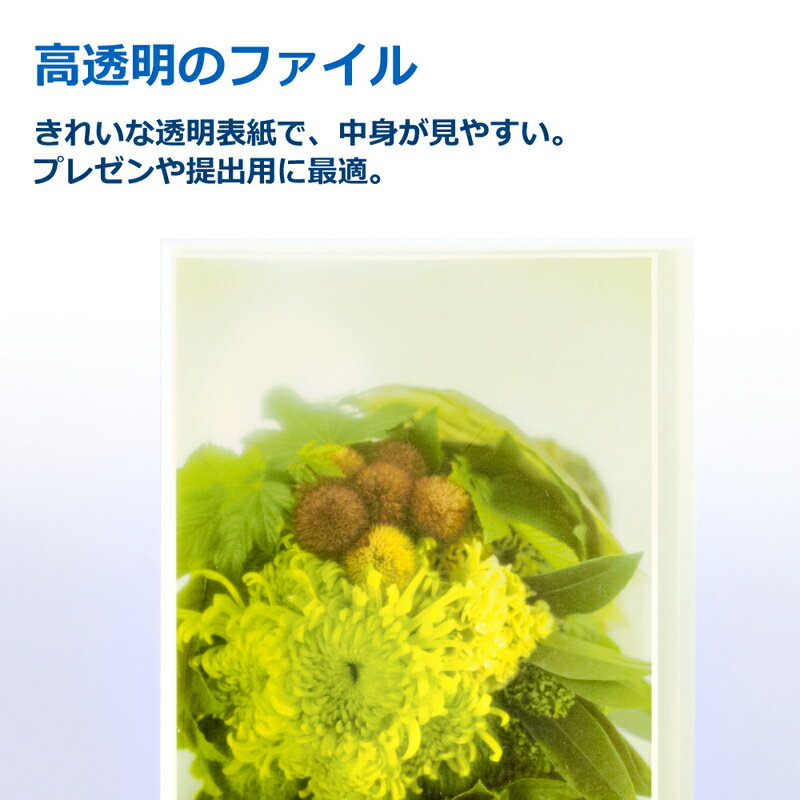 【4月4日20時-10日1時59分までエントリーで2点購入P5倍・3点以上でP10倍】プラス(PLUS)シンプル クリアーファイル 溶着式 A4-S 20ポケット グリーン FC-220SC　98-162