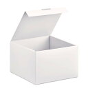 【7月20日24H限定★エントリーで全商品P10倍!】プラス PLUS ボックス ito/oshi 新書サイズのコミックに保護カバーをつけたままぴったり収納できる組立式PPBOX オフホワイト FL-371CF 91489