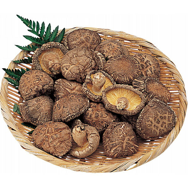 大分産 どんこ椎茸詰合せ (125g) SS-30