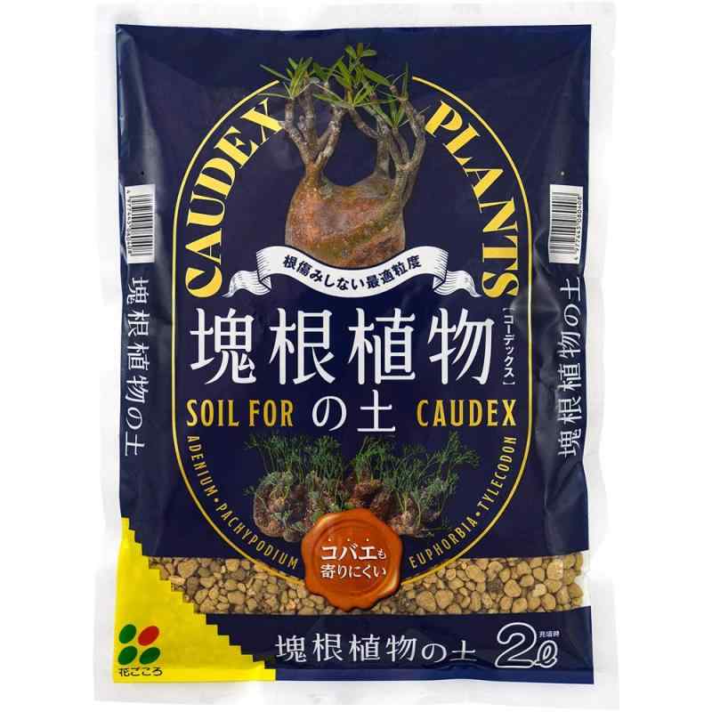 乐天商城 - 花ごころ 塊根植物の土