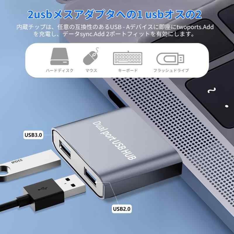 Ms PaletteのUSB 3.0ハブ 2ポート超高速5Gbps転送対応 ノートPC/デスク用 コンパクト設計 プラグ&プレイ プリンタ・マウス・外付けHDD接続可能（シルバー）｜アングル2