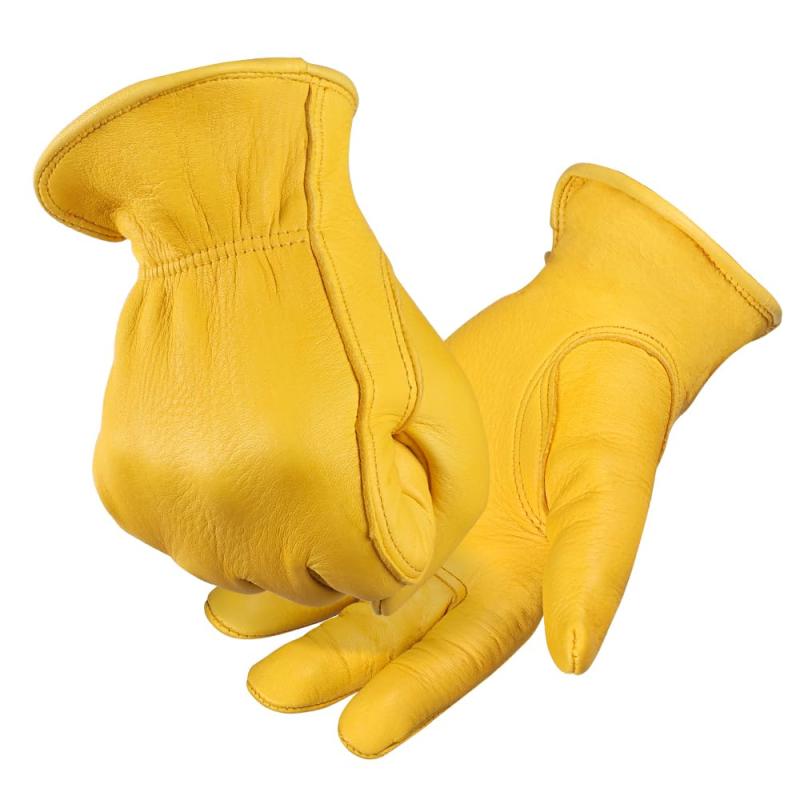 [] Х  ͵μǺ 쥶Ǻ ׼ ɿ ȥɥ ȥХ  餫   륷  ֥å ...