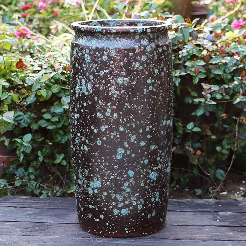  ǥ ¿ʪ ȭ ƫ  ƫ ץ ǥ˥ տʪ ܥƥ ¿ʪ    ƥĴ ƫȭ ץ...