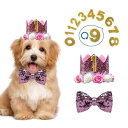 犬 誕生日 帽子 蝶ネクタイ 犬 猫用 誕生日グッズ 誕生日帽子 3点セット バースデー帽子 ペット用誕生日帽子 王冠 数字付き クラウン きらきら バースデー...