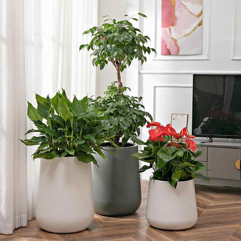 花瓶 北欧 植木鉢 寄せ植え 鉢 室内 大号 プラスチック製 貯水 園芸 観葉植物 ハーブ 菜園 家庭菜園 オ..