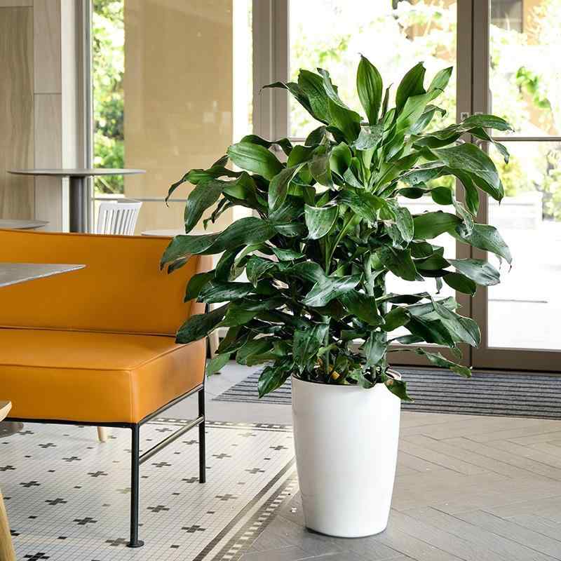 植木鉢 北欧風 おしゃれ 大判 プラスチック製 園芸 鉢植え プランター 大型 室内 ホワイト 耐腐食性 節水 抗旱 オフィス ホテル 家庭 菜園