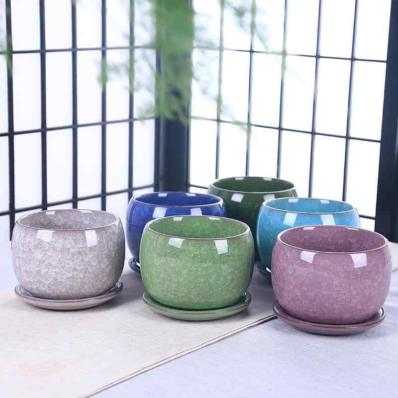 植木鉢 レディース 多肉植物 鉢 陶器製 鉢 プランター 排水穴付き 受け皿付き 卓上 観葉植物 サボテン 花 園芸 室内 おしゃれ かわいい 紫色