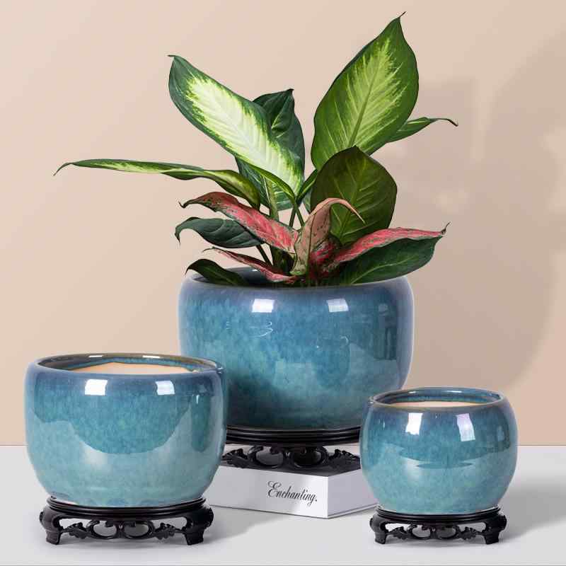 ȭ ƫ ǥ  դ  ٥    ߤ겼 ¿ʪ ȭ