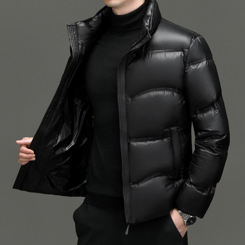 羽绒服 メンズ 男性用 ビジネス カジュアル 中高年 スタンドカラー アウター 厚手 防寒 防水 防シワ 防風 撥水 白ダックダウン ゆったり 170 175 180 185 190 195 冬