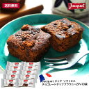 ジャケ ソフトミニチョコレートチップブラウニー 2P×10袋 メール便 ポスト投函 送料無料 【4〜5営業日以内に出荷】コーヒー チョコケーキ チョコレートブラウニー チョコパン パン 個包装 フランス産 お茶菓子 おやつ ココア カカオ スイーツ 洋菓子 jacquet [SH]